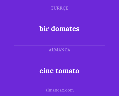 eine tomato - bir domates