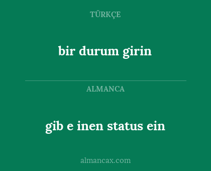 gib e inen status ein - bir durum girin