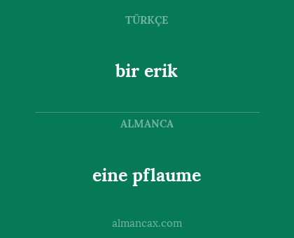 bir erik - eine pflaume