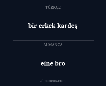 bir erkek kardeş - eine bro