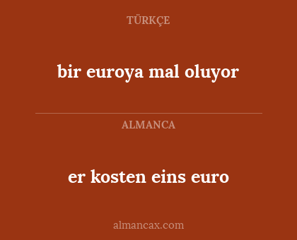 er kosten eins euro - bir euroya mal oluyor