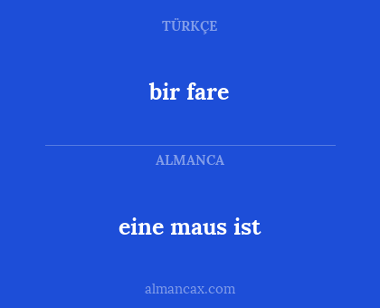 eine maus ist - bir fare