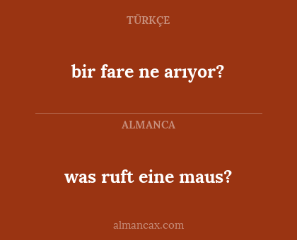 was ruft eine maus? - bir fare ne arıyor?