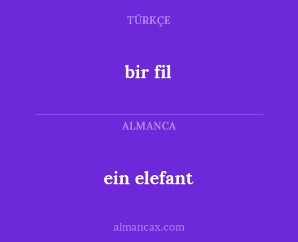 bir fil - ein elefant
