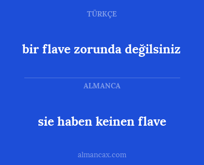 sie haben keinen flave - bir flave zorunda değilsiniz