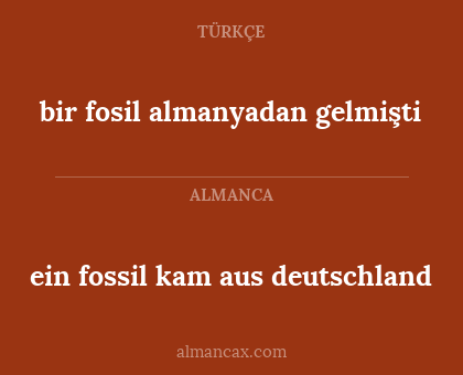 ein fossil kam aus deutschland - bir fosil almanyadan gelmişti