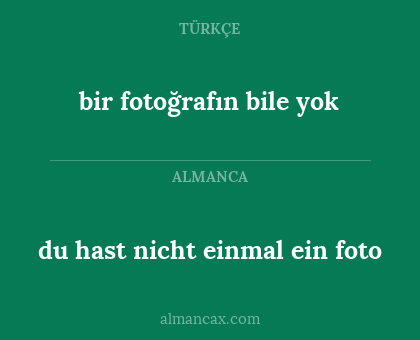 bir fotoğrafın bile yok - du hast nicht einmal ein foto