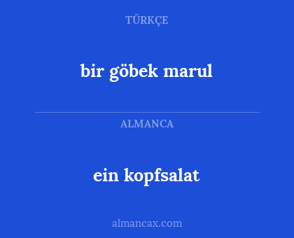 bir göbek marul - ein kopfsalat