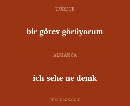 bir görev görüyorum - ich sehe ne demk