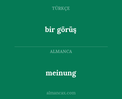 bir görüş - meinung