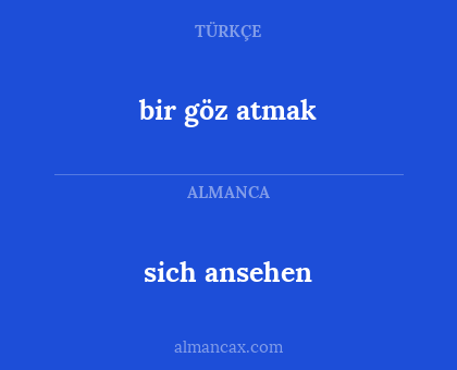 sich ansehen - bir göz atmak