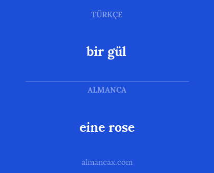 eine rose - bir gül