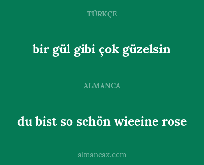 bir gül gibi çok güzelsin - du bist so schön wieeine rose