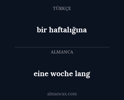 bir haftalığına - eine woche lang
