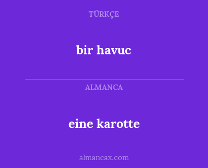 bir havuc - eine karotte
