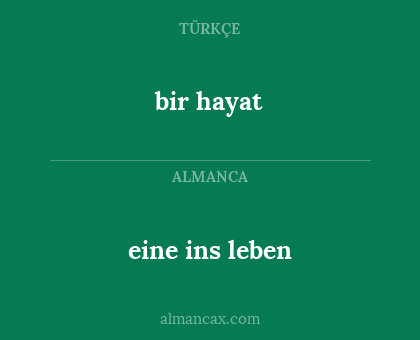 bir hayat - eine ins leben
