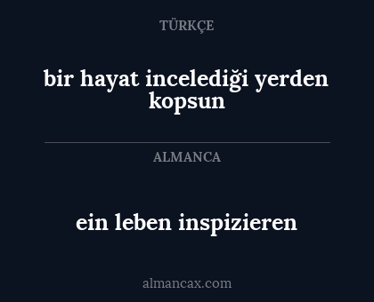 ein leben inspizieren - bir hayat incelediği yerden kopsun