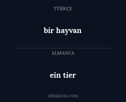 bir hayvan - ein tier