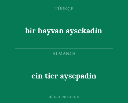 bir hayvan aysekadin - ein tier aysepadin