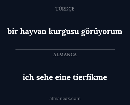 bir hayvan kurgusu görüyorum - ich sehe eine tierfikme