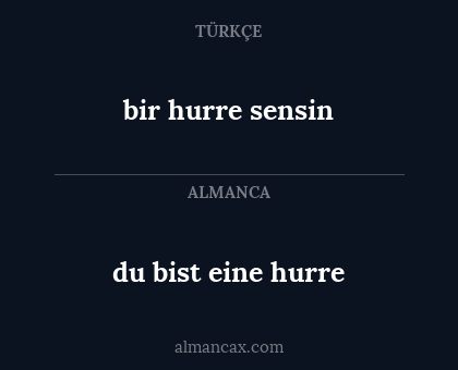 bir hurre sensin - du bist eine hurre