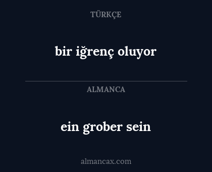 ein grober sein - bir iğrenç oluyor