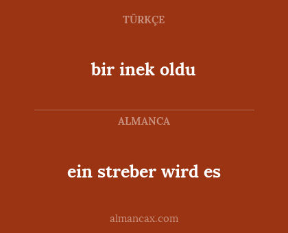 ein streber wird es - bir inek oldu
