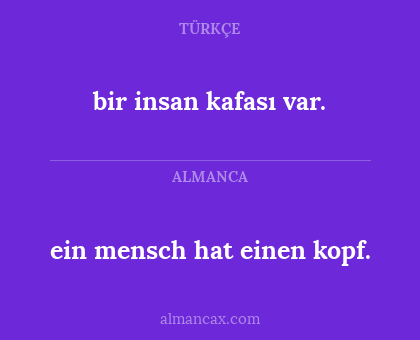 ein mensch hat einen kopf. - bir insan kafası var.