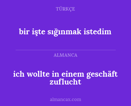 ich wollte in einem geschäft zuflucht - bir işte sığınmak istedim