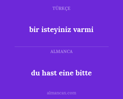 bir isteyiniz varmi - du hast eine bitte
