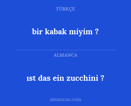 bir kabak miyim ? - ıst das ein zucchini ?