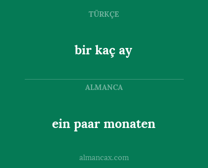 bir kaç ay - ein paar monaten