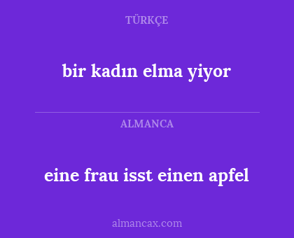 eine frau isst einen apfel - bir kadın elma yiyor