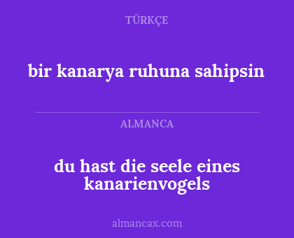 bir kanarya ruhuna sahipsin - du hast die seele eines kanarienvogels