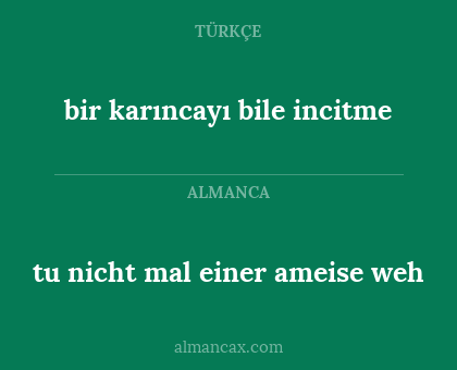 tu nicht mal einer ameise weh - bir karıncayı bile incitme