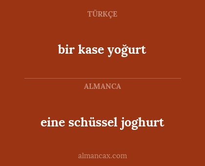 eine schüssel joghurt - bir kase yoğurt