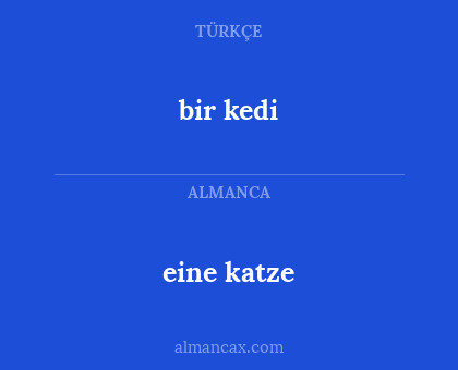 bir kedi - eine katze