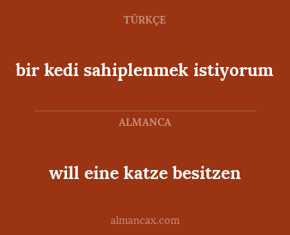 will eine katze besitzen - bir kedi sahiplenmek istiyorum