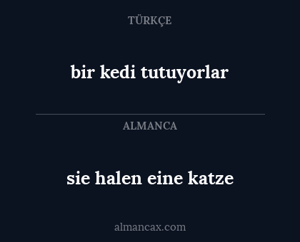 sie halen eine katze - bir kedi tutuyorlar