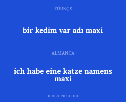 bir kedim var adı maxi - ich habe eine katze namens maxi