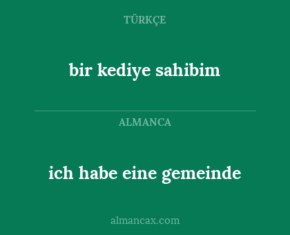 ich habe eine gemeinde - bir kediye sahibim