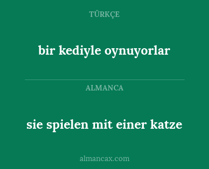 sie spielen mit einer katze - bir kediyle oynuyorlar