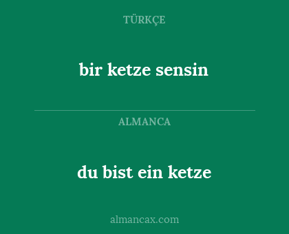 du bist ein ketze - bir ketze sensin