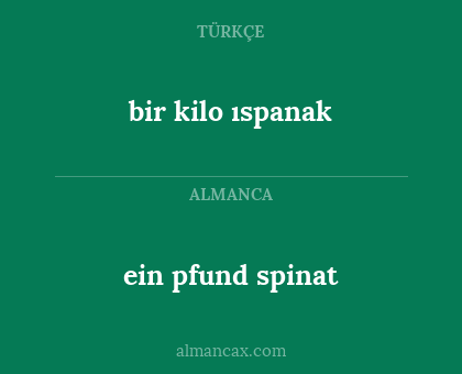 bir kilo ıspanak - ein pfund spinat