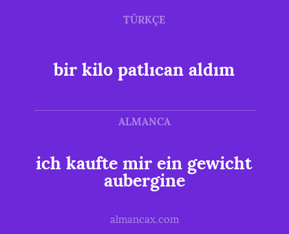 bir kilo patlıcan aldım - ich kaufte mir ein gewicht aubergine