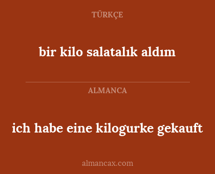 ich habe eine kilogurke gekauft - bir kilo salatalık aldım