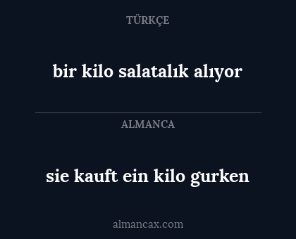 sie kauft ein kilo gurken - bir kilo salatalık alıyor