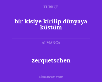 zerquetschen - bir kisiye kirilip  dünyaya küstüm
