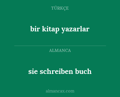 bir kitap yazarlar - sie schreiben buch