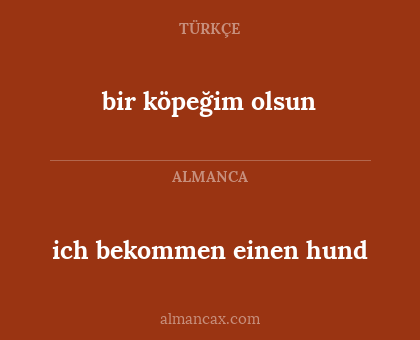 bir köpeğim olsun - ich bekommen einen hund